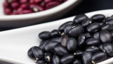 Foto de Clima e preços devem reduzir produção de feijão, avalia indicador Cepea/CNA