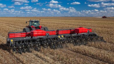 Foto de Chuvas frequentes impulsionam o plantio da soja 25/26 em Minas Gerais