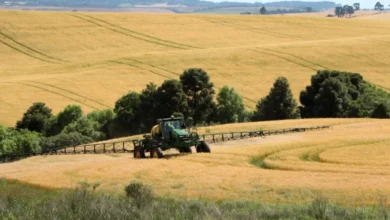 Foto de O ano da virada, como o custo do capital, forçou o agro a amadurecer a gestão