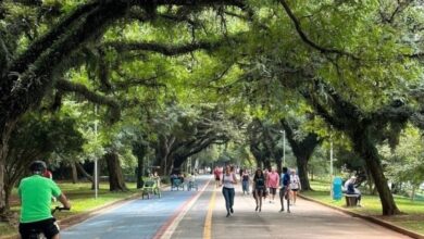 Foto de Vitha, marca nativa digital de suplementos, chega a R$ 100 mi com foco no público 40+