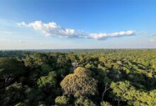 Foto de Após críticas do agro, governo ajusta Plano Clima e amplia incentivos a produtores rurais