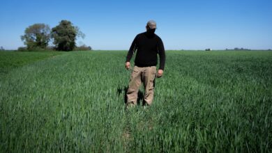 Foto de Bancos apostam em boom agrícola argentino após Milei cortar tarifas de exportação