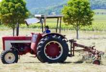 Foto de Pacote de R$ 74,9 milhões mira em máquinas adaptadas à agricultura familiar