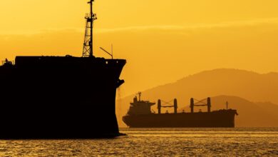 Foto de Brasil abre mercado para produtos do agro nos Emirados Árabes, em Gana e no Peru