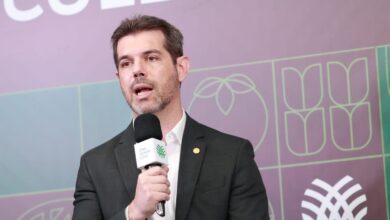 Foto de ‘Recuperação judicial precisa ser o último recurso do produtor’, avalia diretor técnico da CNA