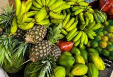 Foto de Acre abre edital para Programa de Aquisição de Alimentos