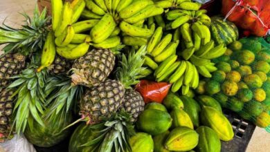 Foto de Acre abre edital para Programa de Aquisição de Alimentos