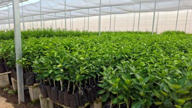 Foto de Agrodefesa alerta para recadastramento no SIE até dezembro