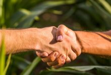 Foto de Agronegócio soma US$ 13,4 bi em exportações em novembro