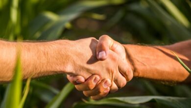 Foto de Agronegócio soma US$ 13,4 bi em exportações em novembro