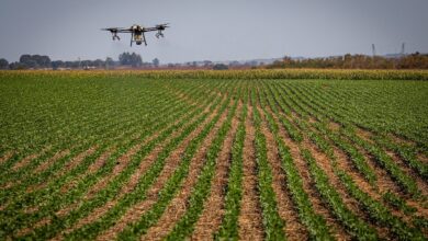 Foto de CNA aponta China na liderança de vendas de fertilizantes para o Brasil