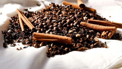 Foto de Brasil deve colher até 74,4 milhões de sacas de café em 2026, aponta Hedgepoint