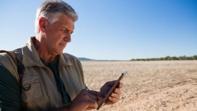 Foto de Como aplicar monitoramento e IoT no campo