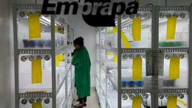 Foto de Entra em vigor lei que garante isenção de taxas para Embrapa – Notícias