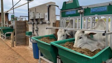 Foto de Estudo da Embrapa mapeia tecnologias para a pecuária
