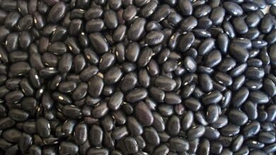 Foto de Redes regionais redefinem o poder no varejo alimentar