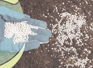 Foto de China ultrapassa Rússia e assume liderança no fornecimento de fertilizantes ao Brasil