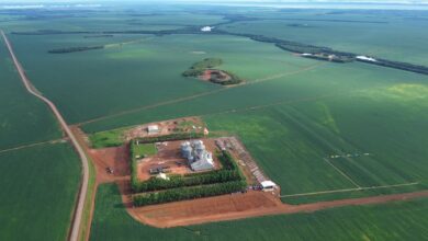 Foto de Você sabia que as inscrições da Abertura Nacional da Colheita da Soja já estão abertas?