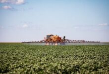 Foto de Após danos em culturas sensíveis, ofício destaca cuidados no uso de herbicidas hormonais