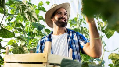 Foto de Produtor com imóvel em dia tem menos dor de cabeça