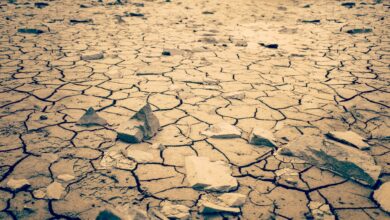 Foto de La Niña está de volta – e pode deixar marca pesada em mercados e commodities
