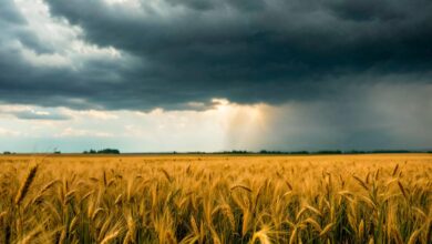 Foto de OMM prevê chance de La Niña fraca