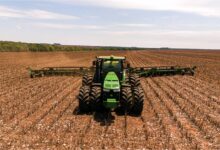 Foto de Plantio de soja 25/26 atinge 94,1% de área no Brasil; cinco estados concluem a semeadura