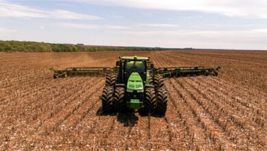 Foto de Plantio de soja 25/26 atinge 94,1% de área no Brasil; cinco estados concluem a semeadura