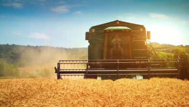 Foto de Conab inicia entrega de mais de 220 maquinários para apoiar a agricultura familiar