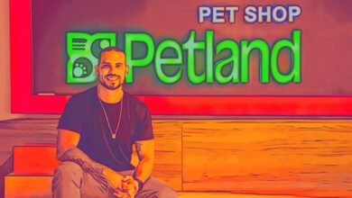 Foto de A fusão Petz-Cobasi vai esmagar as vendas do pequeno pet shop, diz CEO da Petland