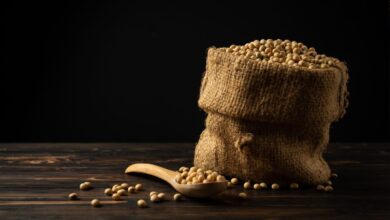 Foto de Brasil caminha para uma safra recorde de soja, diz DATAGRO