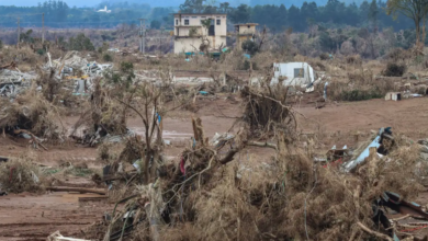 Foto de Farsul aponta clima, endividamento e crédito como entraves na safra 2025/26
