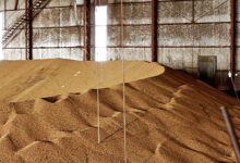 Foto de Mercado de soja segue travado, com negócios pontuais; saiba os preços no Brasil